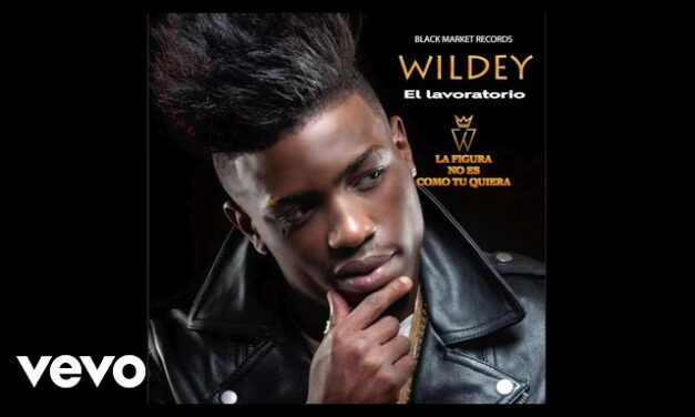 Wildey – La Figura No Es Como Tu Quiera (Official Audio)