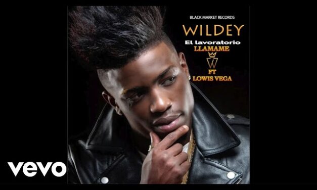 Wildey – LLamame (Official Audio) ft. Lowis Vega