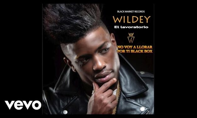 Wildey – No voy a LLorar porti Black Box (Official Audio)