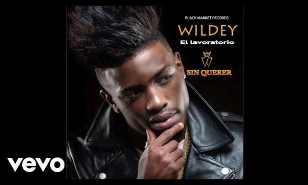 Wildey – Sin Querer (Official Audio)