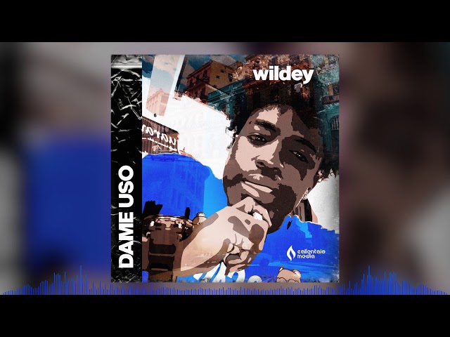 Wildey – Dame Uso
