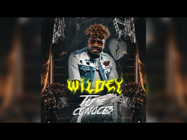 Wildey – Tu Me Conoces