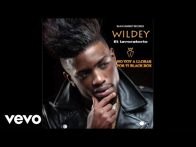 Wildey – No voy a LLorar porti Black Box (Official Audio)