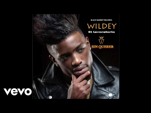 Wildey – Sin Querer (Official Audio)