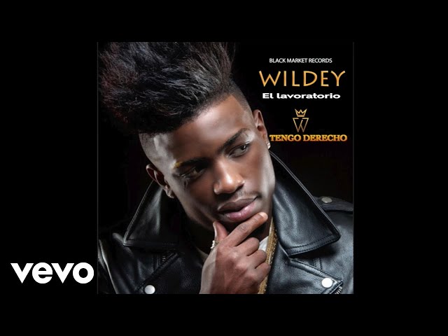 Wildey – Tengo Derecho (Official Audio)